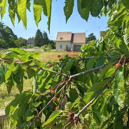 Le Woody Lodge, Large With Wooden Deck And With Garden View Next To Fontainebleau Forest 木屋 *
